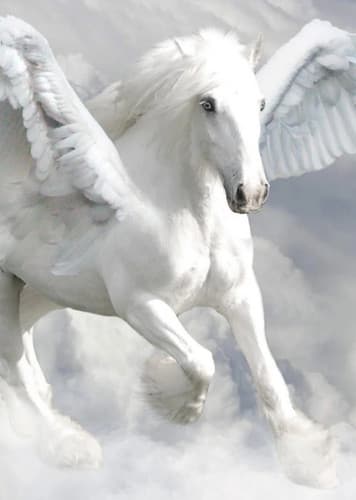 Pegasus