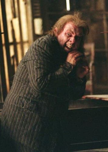 Peter Pettigrew