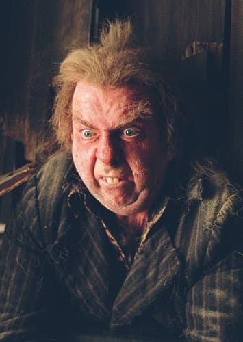 Peter Pettigrew
