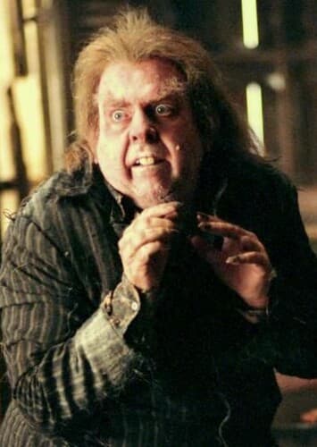 Peter Pettigrew