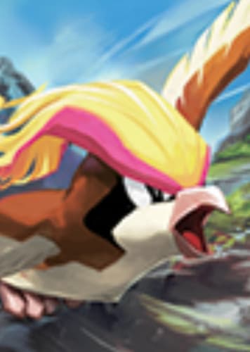 Pidgeot / ピジョット