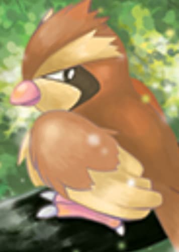 Pidgey / ポッポ