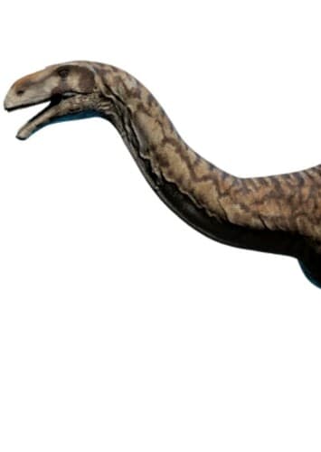 Plateosaurus