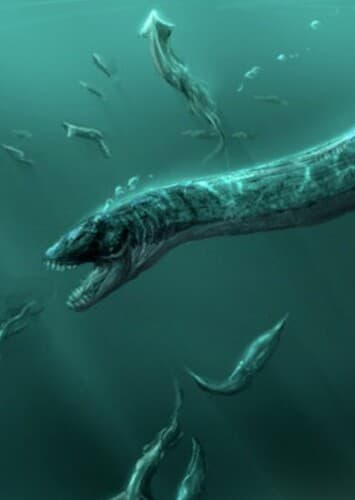 Plesiosaurus