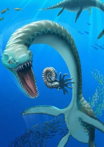Plesiosaurus