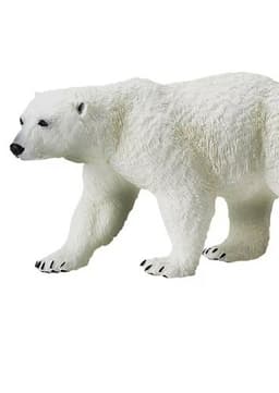 Polar Bear