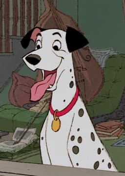 Pongo