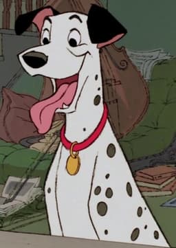 Pongo