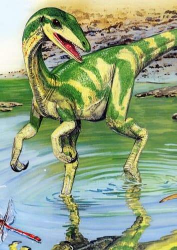 Procompsognathus