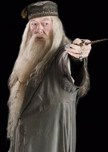 Professor Dumbledore