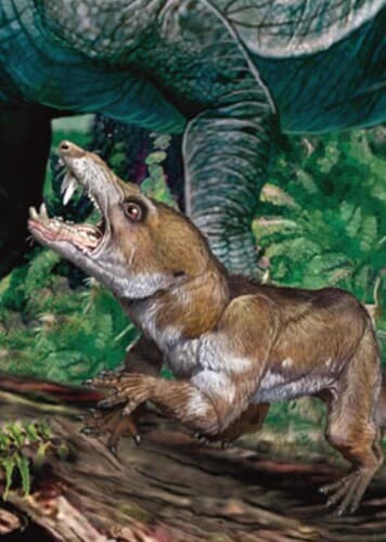 Pseudotherium