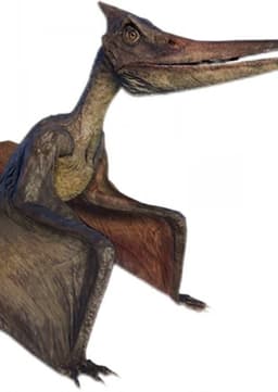 Pteranodon