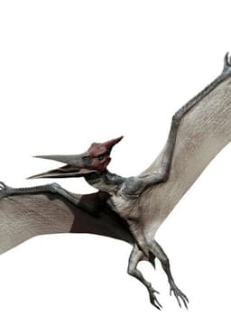 Pteranodon