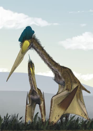 Pterosaur