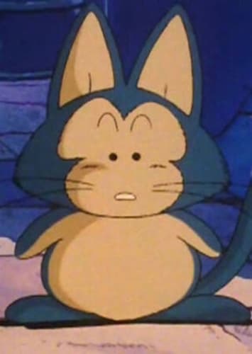 Puar