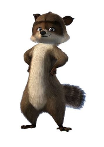 Raccoon