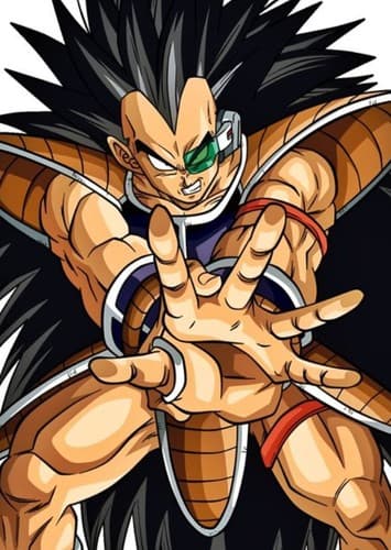 RADITZ