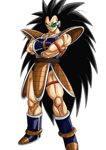 RADITZ