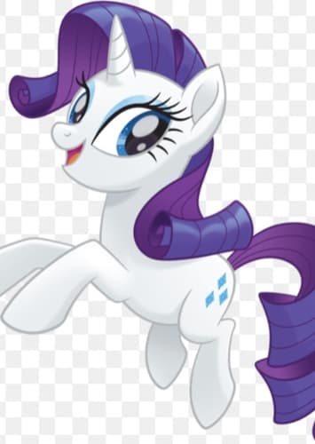Rarity