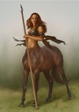 Rebecca  the centaur
