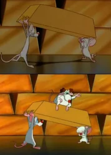 Remember the New Guy?