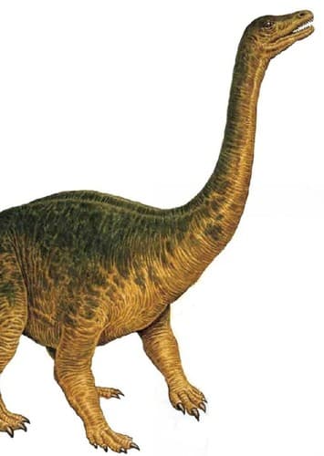 Riojasaurus