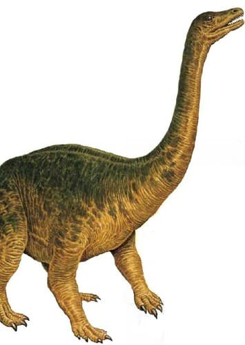 Riojasaurus