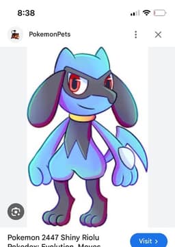 Riolu