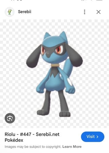 Riolu