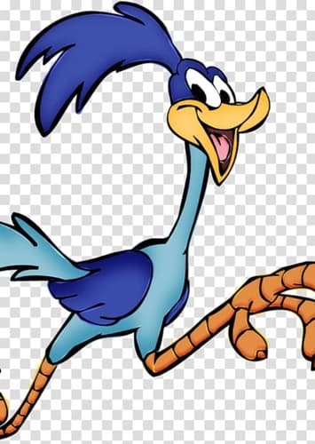 Road Runner