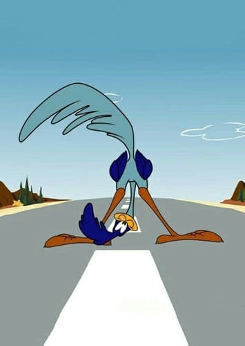 Roadrunner