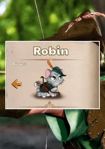 Robin