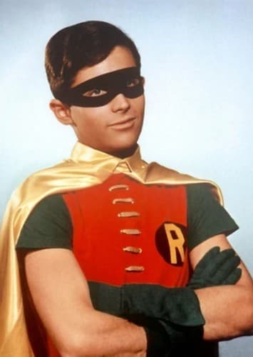 Robin