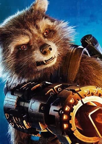 Rocket Racoon