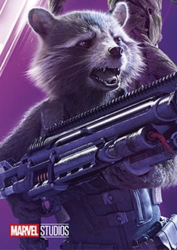 Rocket Racoon