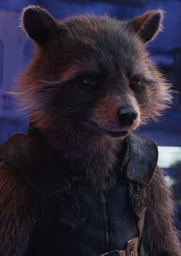 Rocket (MCU)