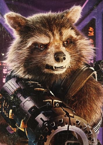 Rocket Racoon