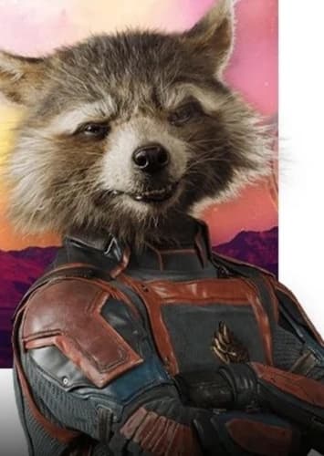 Rocket Racoon