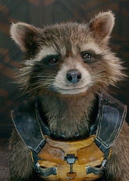 Rocket Racoon