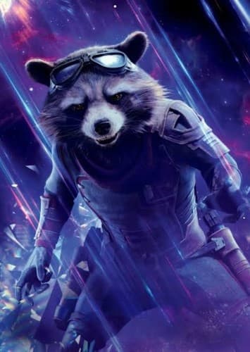 Rocket racoon