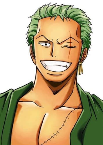 Roronoa Zoro (21)