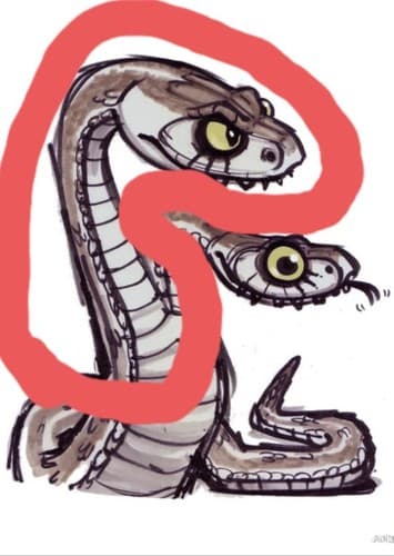 ROSNAKE