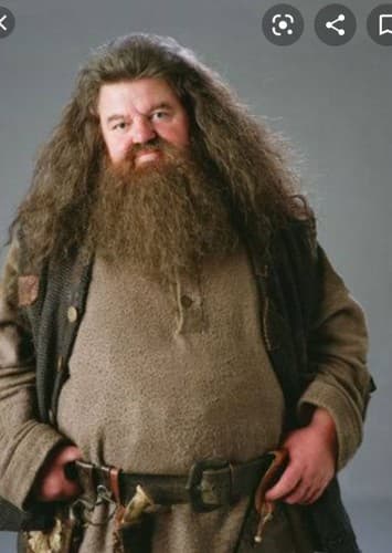 Rubeus Hagrid