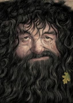 Rubeus Hagrid