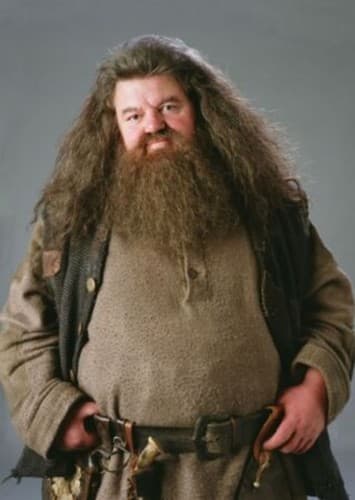 Rubeus Hagrid