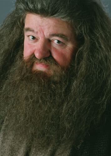 Rubeus Hagrid