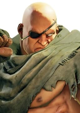 Sagat