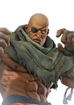 Sagat