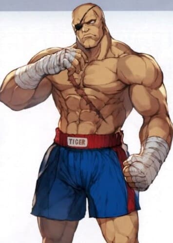 Sagat