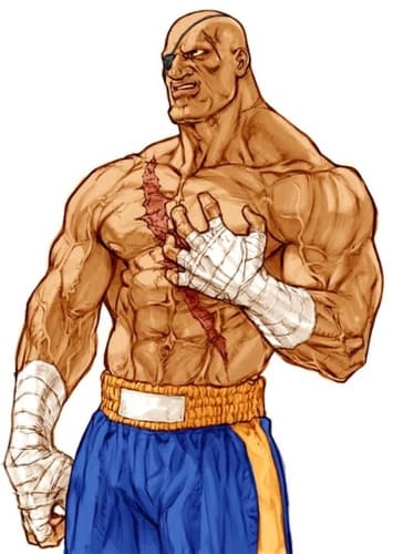 Sagat